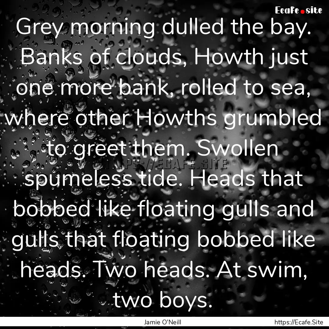 Grey morning dulled the bay. Banks of clouds,.... : Quote by Jamie O'Neill