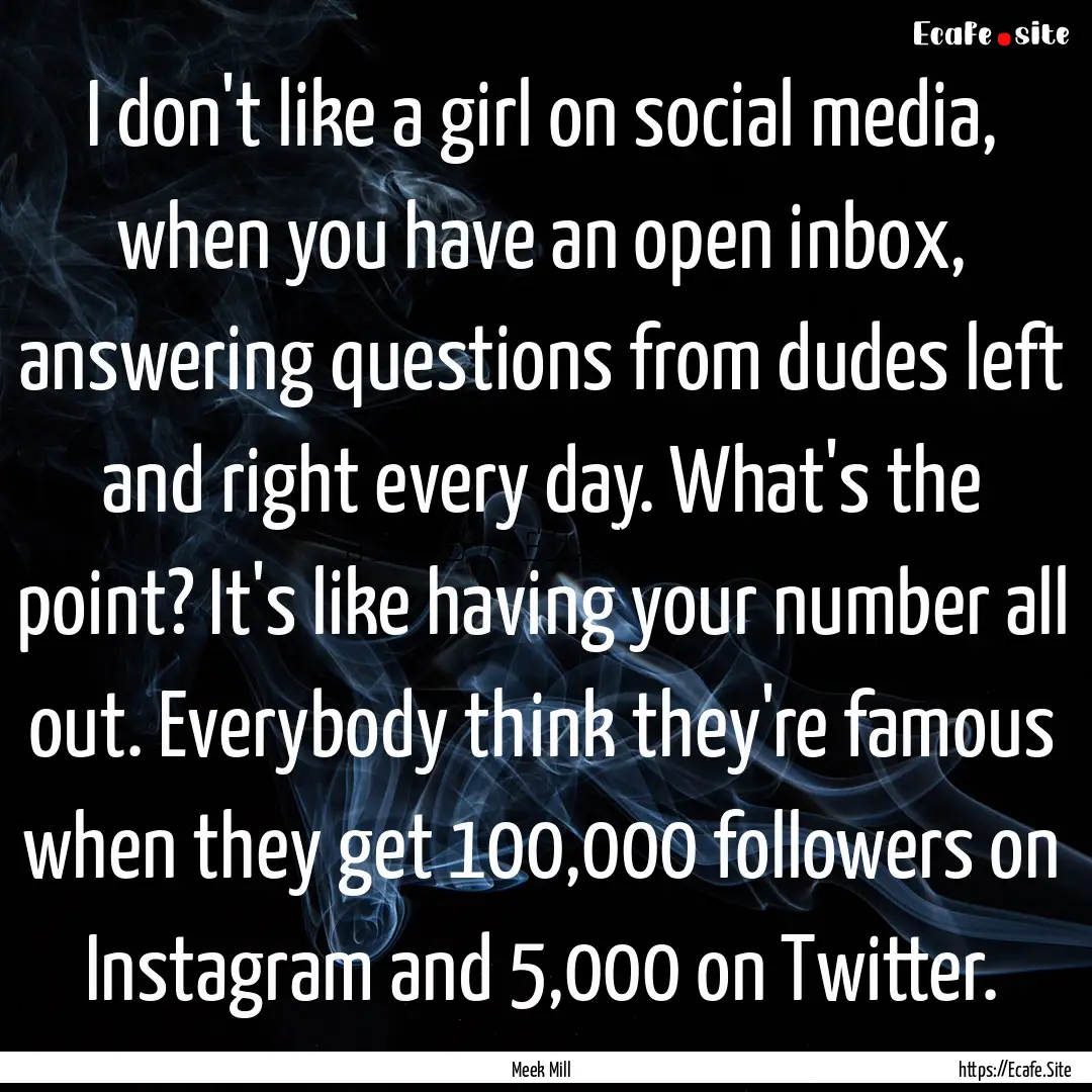 I don't like a girl on social media, when.... : Quote by Meek Mill