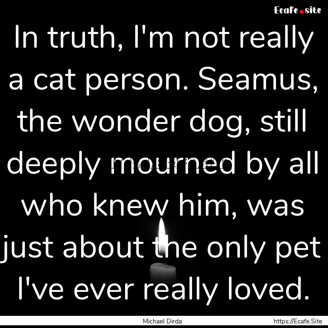 In truth, I'm not really a cat person. Seamus,.... : Quote by Michael Dirda