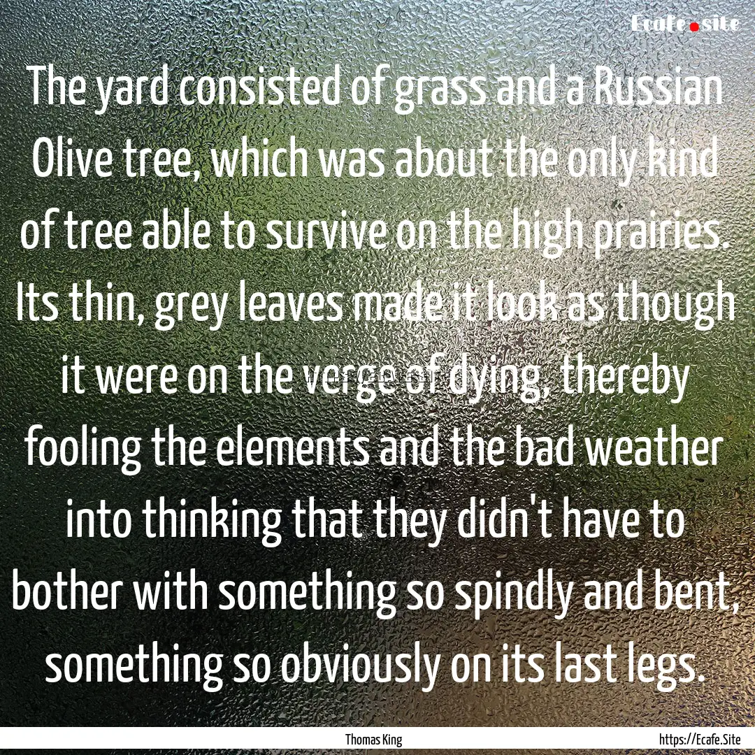 The yard consisted of grass and a Russian.... : Quote by Thomas King