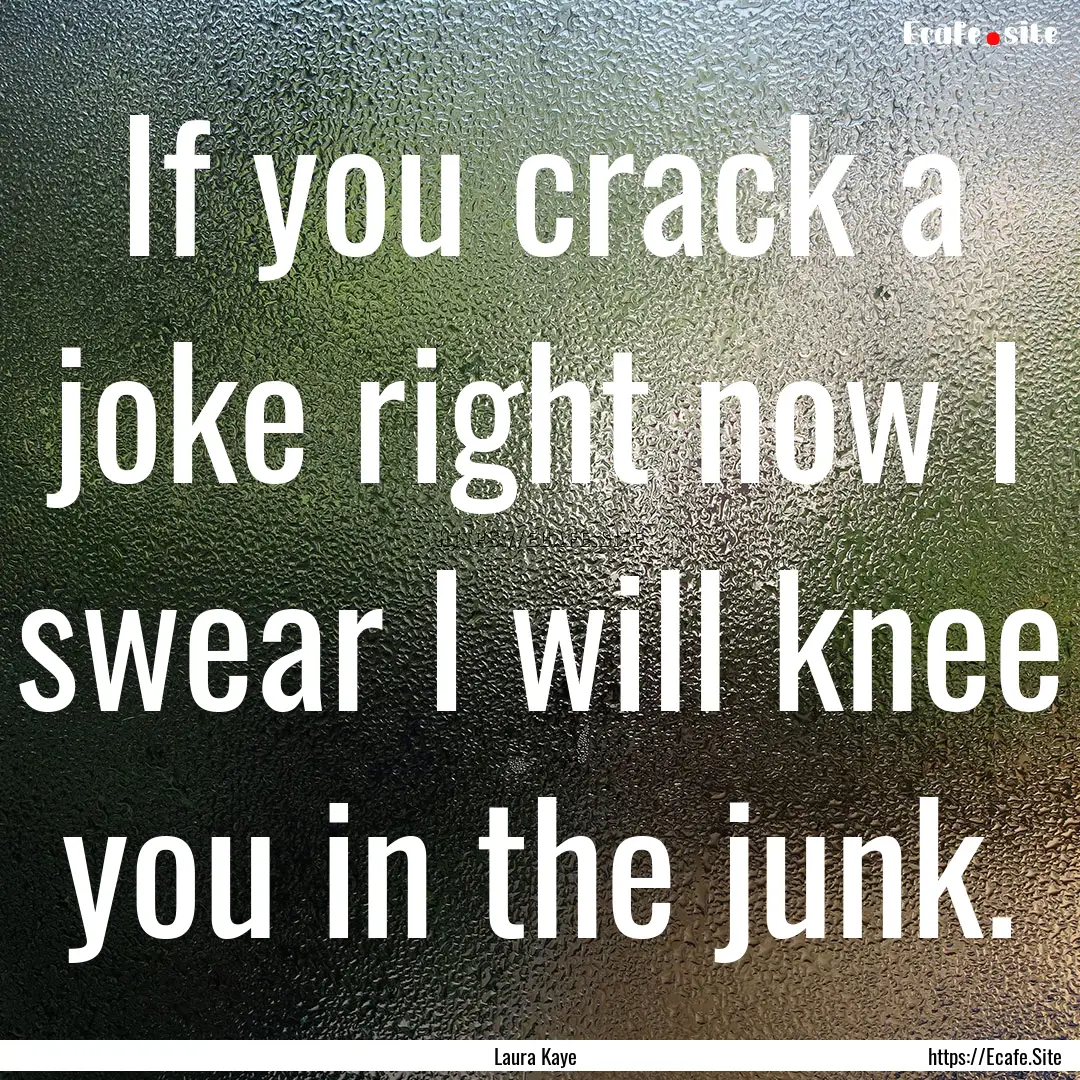 If you crack a joke right now I swear I will.... : Quote by Laura Kaye