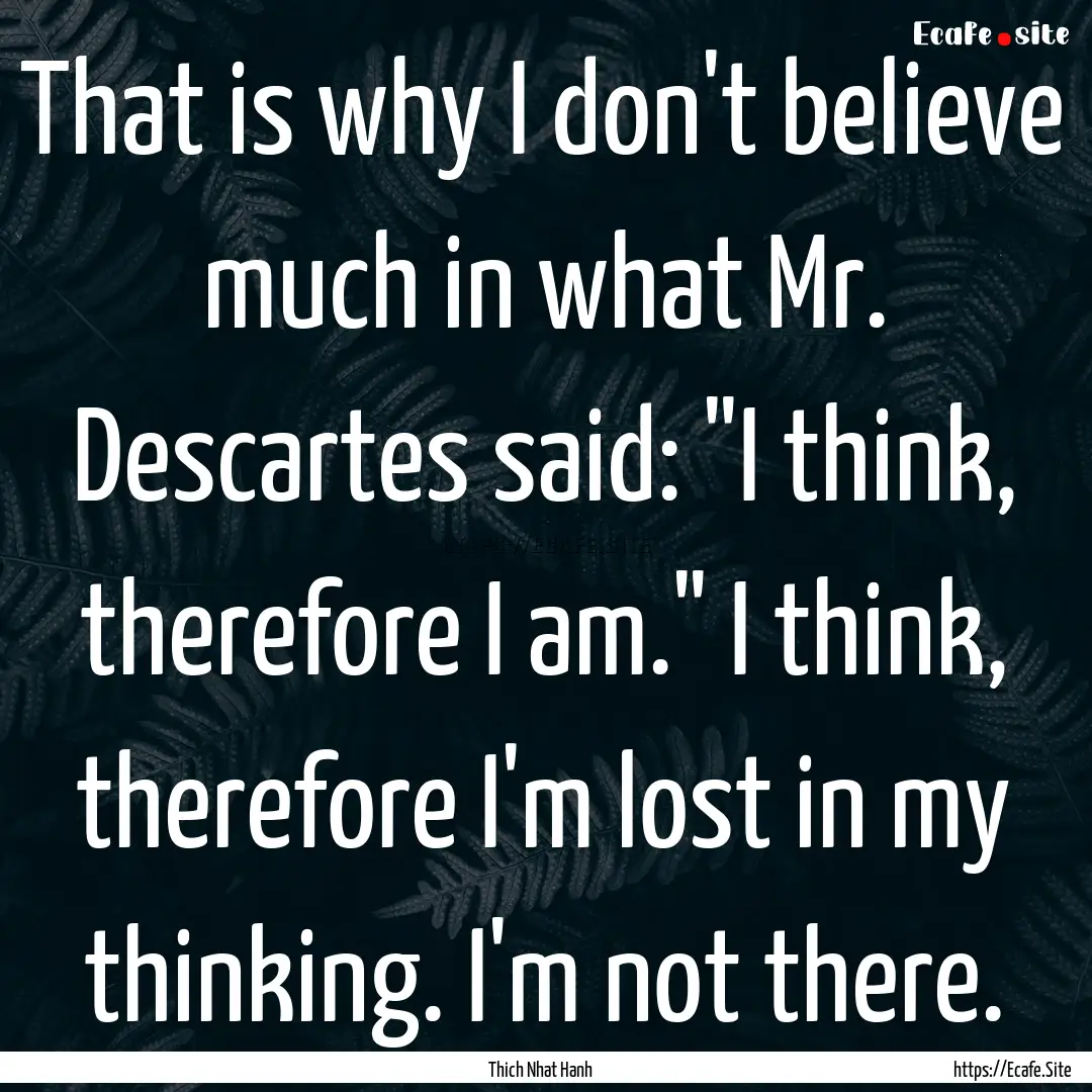 That is why I don't believe much in what.... : Quote by Thich Nhat Hanh