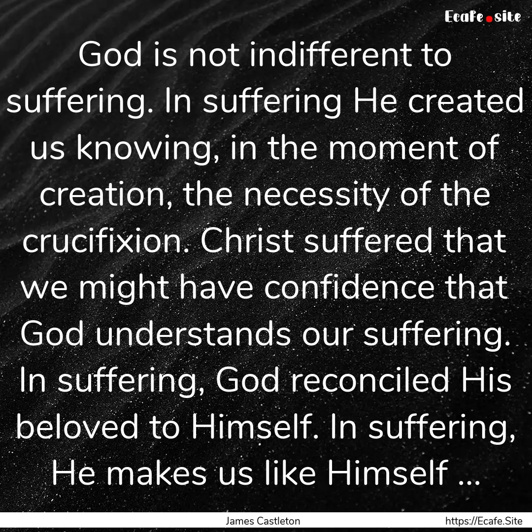 God is not indifferent to suffering. In suffering.... : Quote by James Castleton