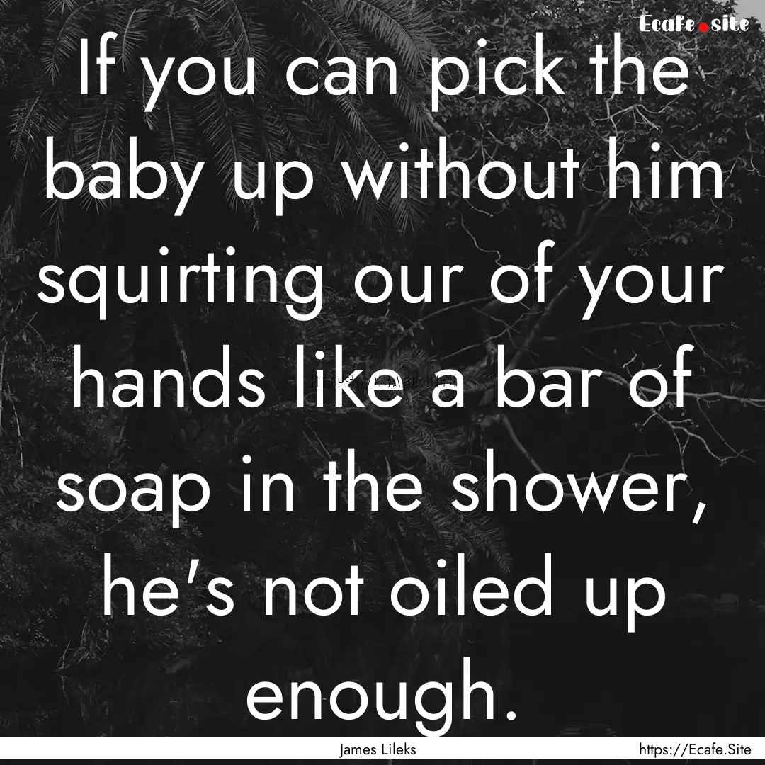 If you can pick the baby up without him squirting.... : Quote by James Lileks