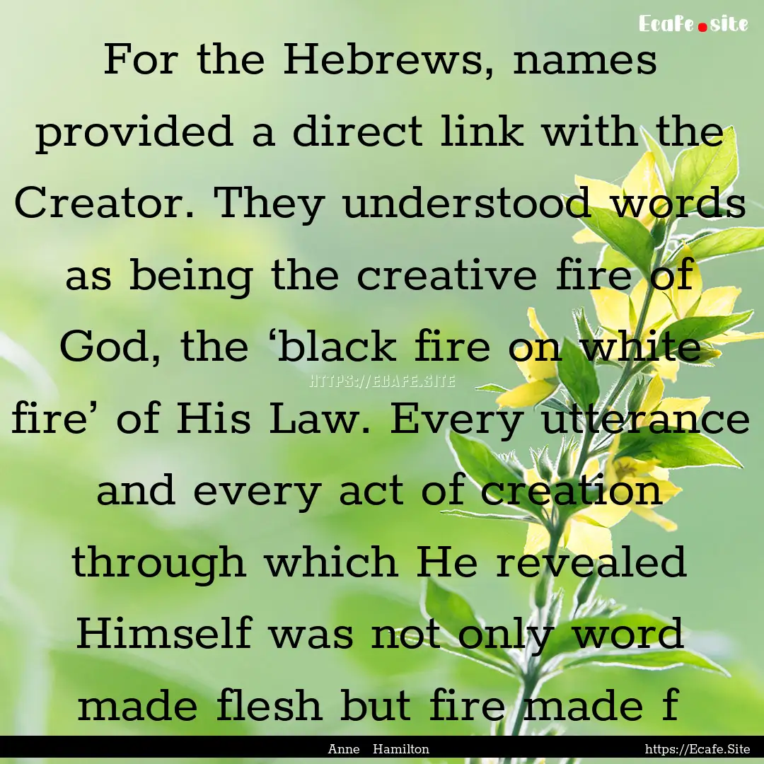 For the Hebrews, names provided a direct.... : Quote by Anne Hamilton