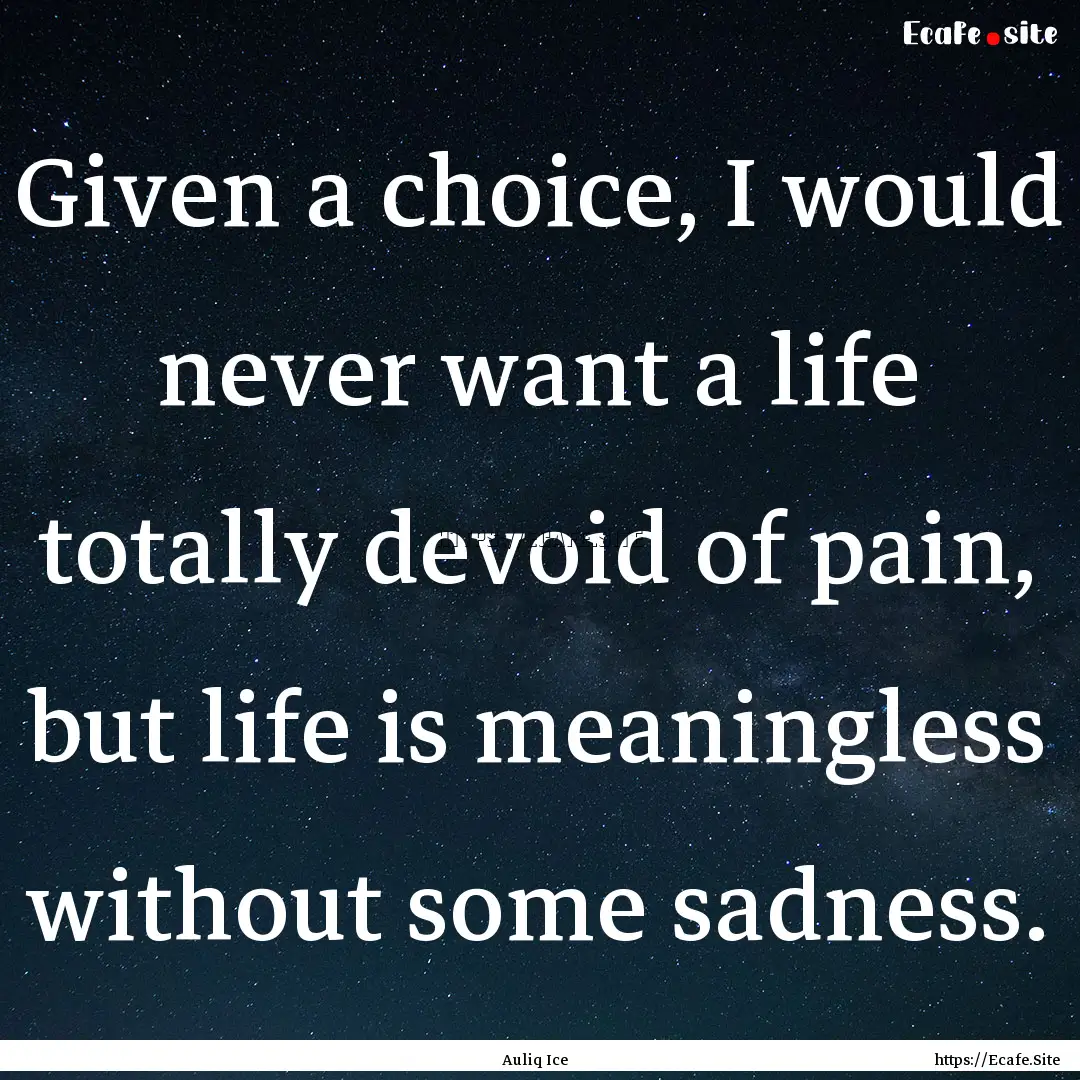 Given a choice, I would never want a life.... : Quote by Auliq Ice