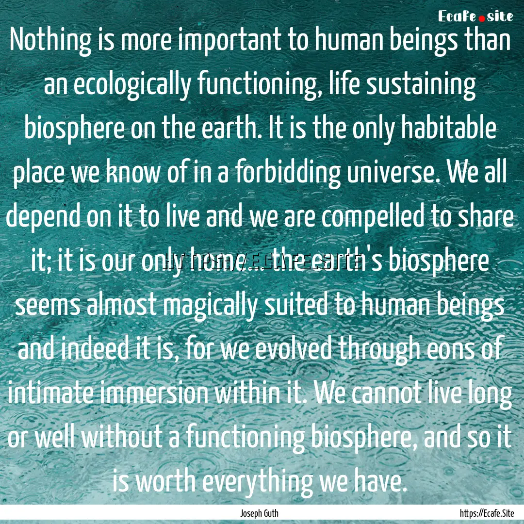 Nothing is more important to human beings.... : Quote by Joseph Guth