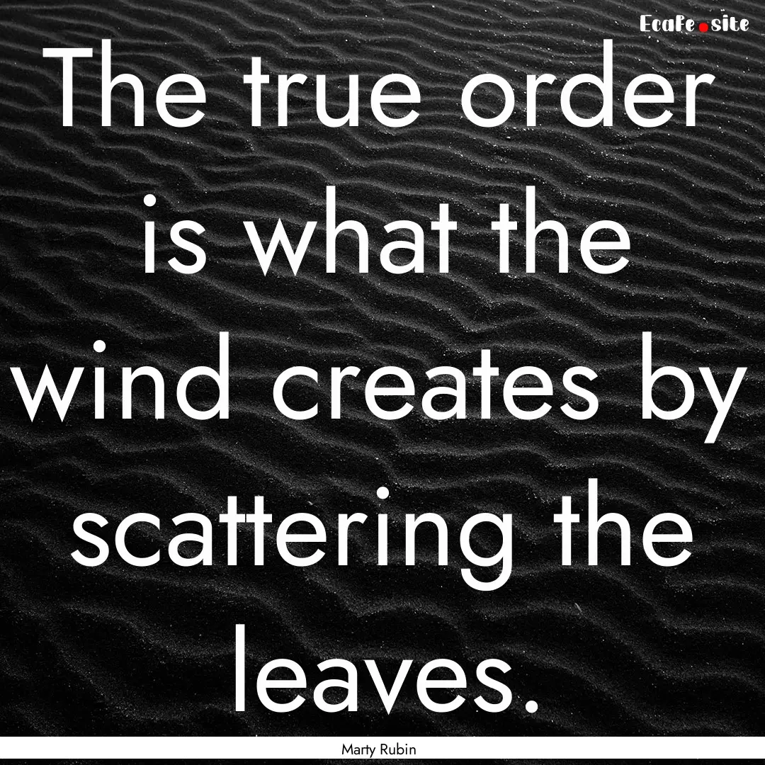 The true order is what the wind creates by.... : Quote by Marty Rubin