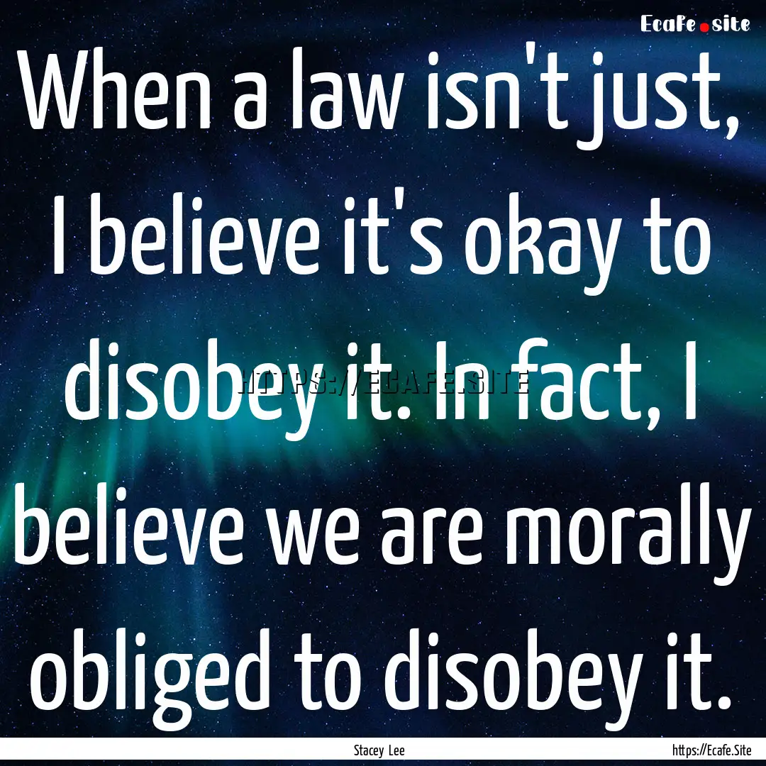 When a law isn't just, I believe it's okay.... : Quote by Stacey Lee