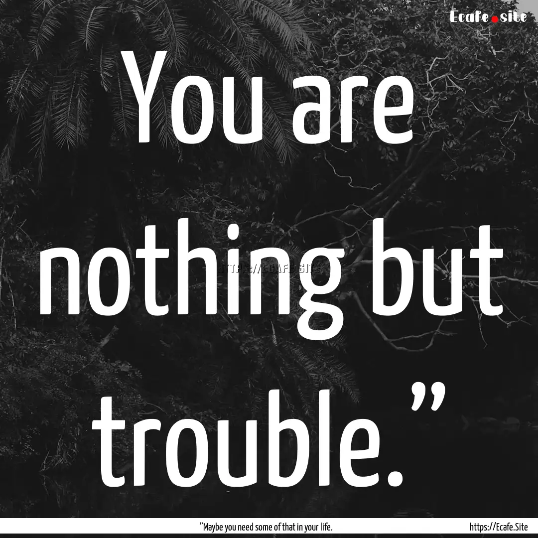 You are nothing but trouble.” : Quote by ”Maybe you need some of that in your life.