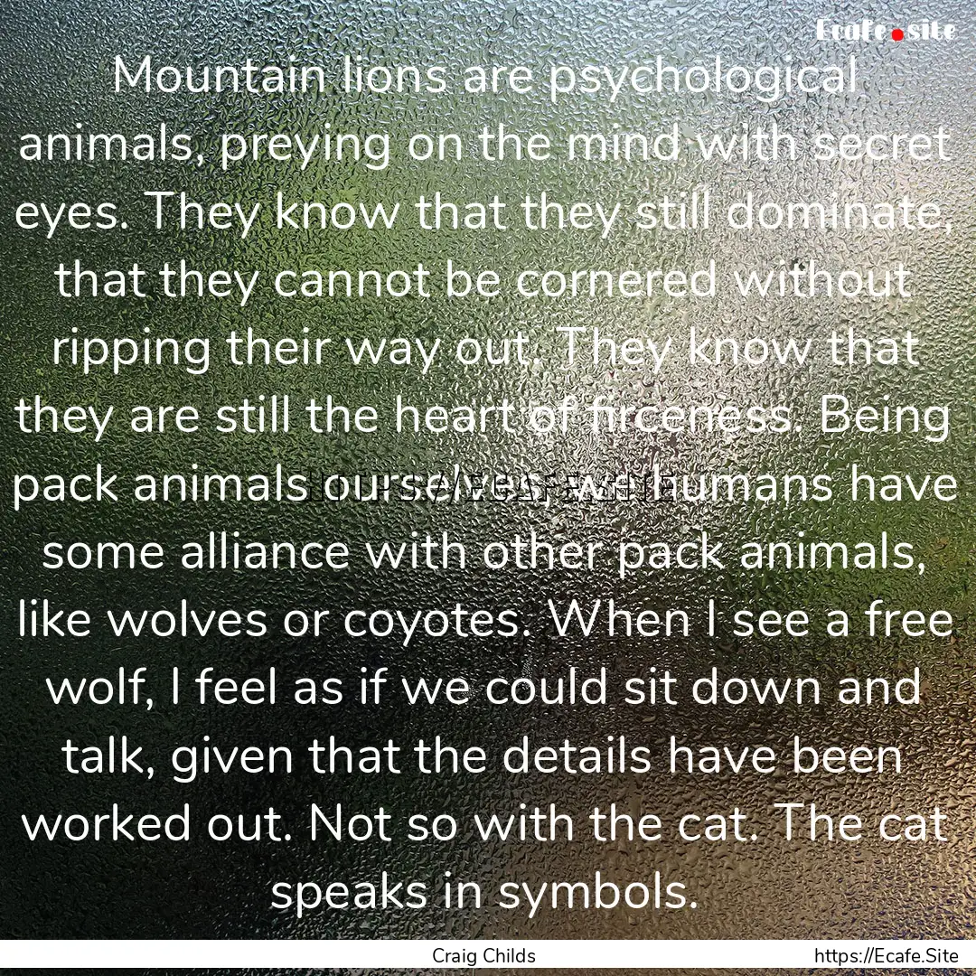 Mountain lions are psychological animals,.... : Quote by Craig Childs