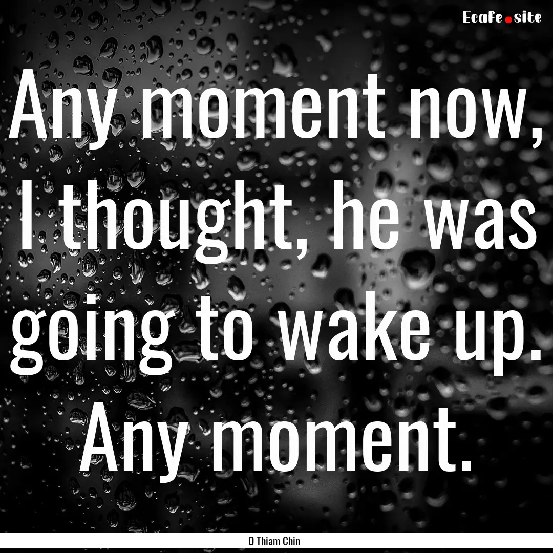 Any moment now, I thought, he was going to.... : Quote by O Thiam Chin