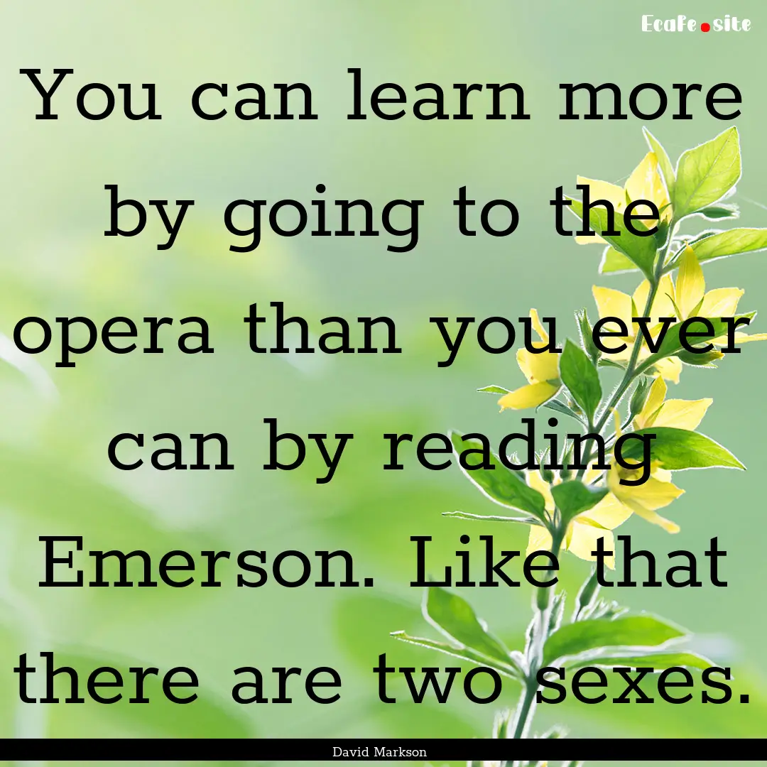 You can learn more by going to the opera.... : Quote by David Markson