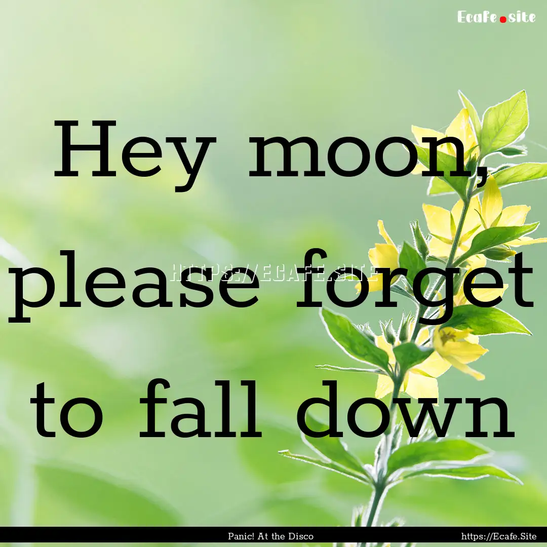 Hey moon, please forget to fall down : Quote by Panic! At the Disco