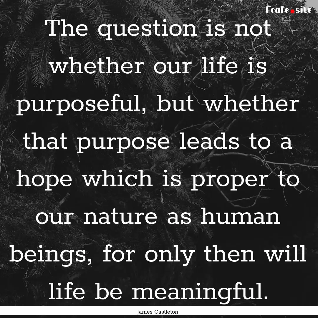 The question is not whether our life is purposeful,.... : Quote by James Castleton