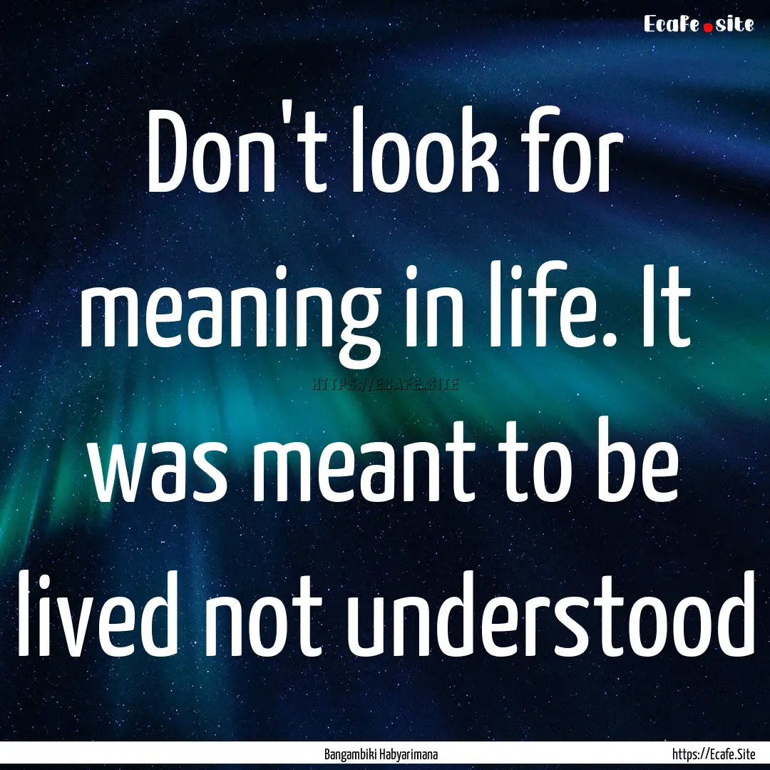 Don't look for meaning in life. It was meant.... : Quote by Bangambiki Habyarimana