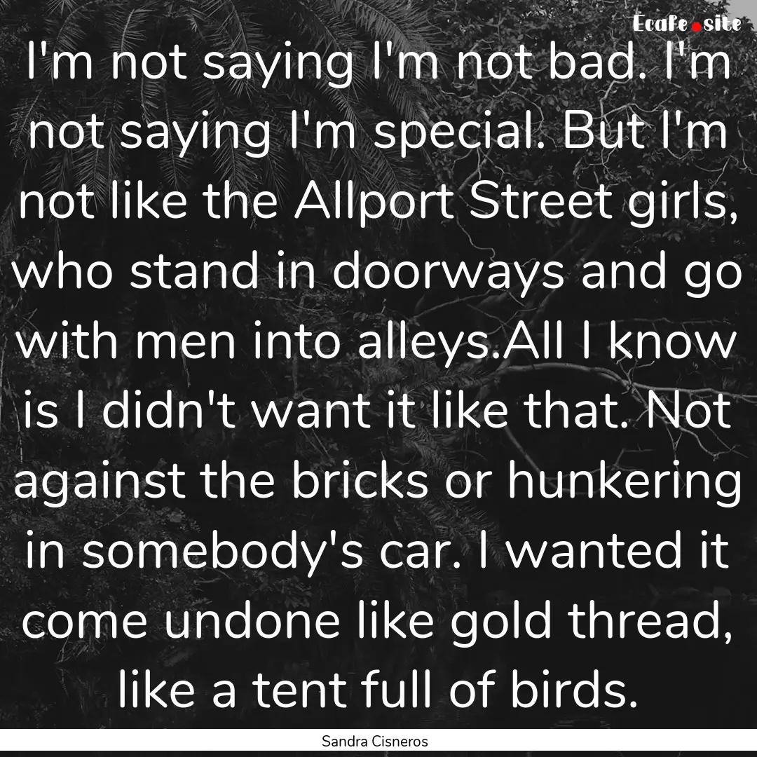 I'm not saying I'm not bad. I'm not saying.... : Quote by Sandra Cisneros