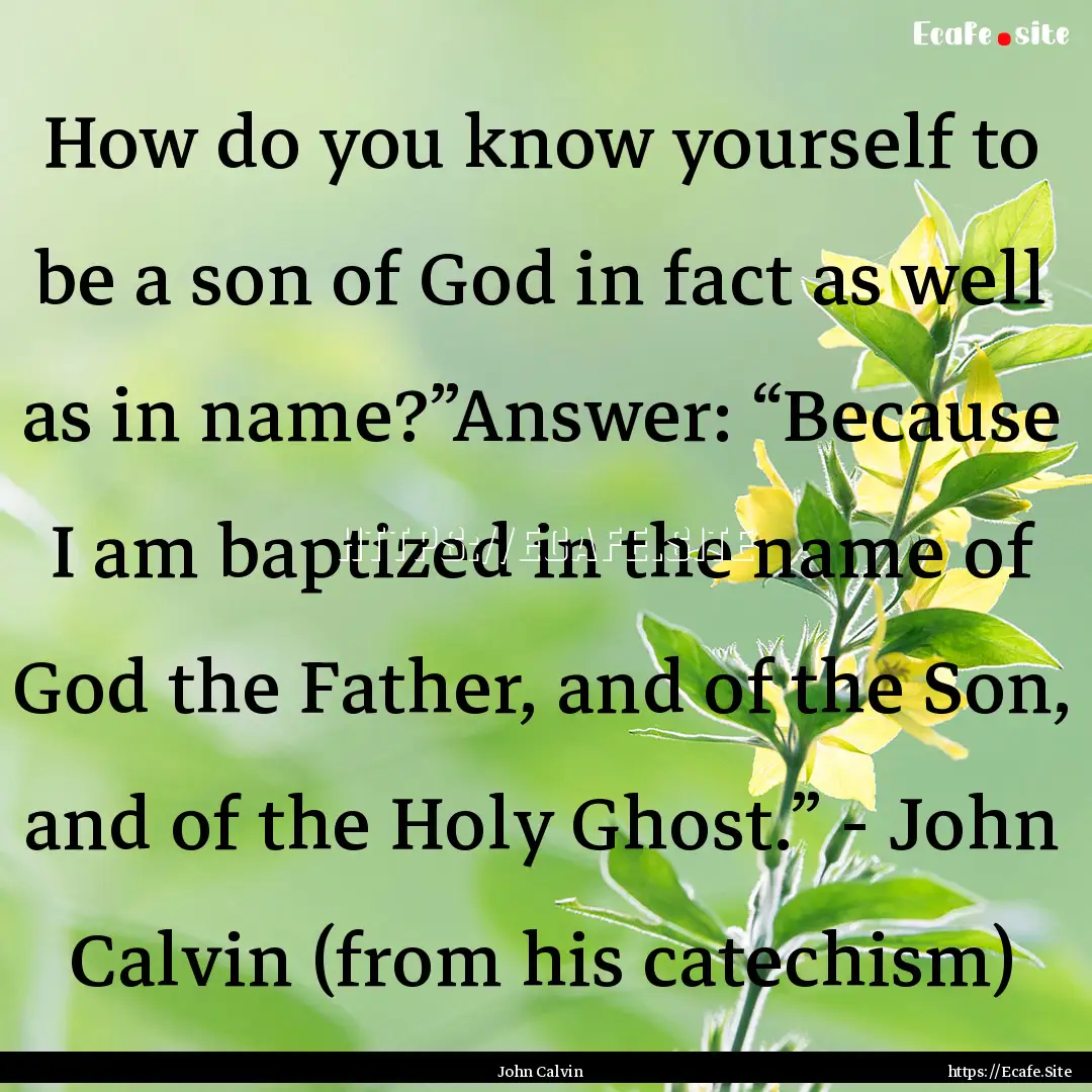 How do you know yourself to be a son of God.... : Quote by John Calvin