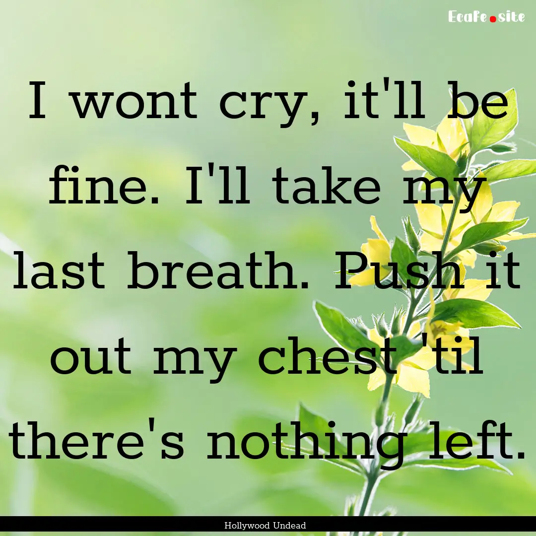 I wont cry, it'll be fine. I'll take my last.... : Quote by Hollywood Undead