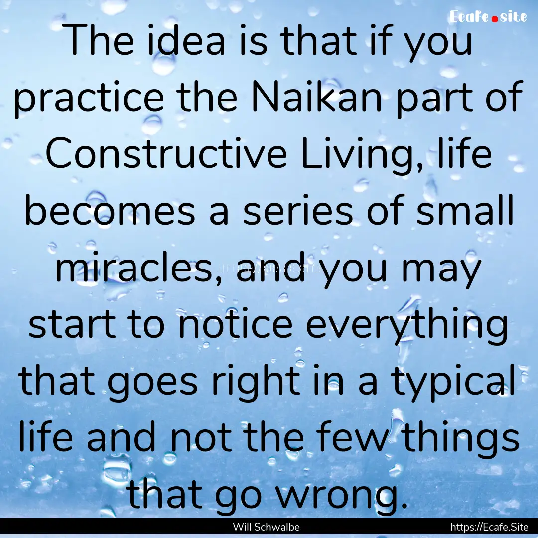 The idea is that if you practice the Naikan.... : Quote by Will Schwalbe