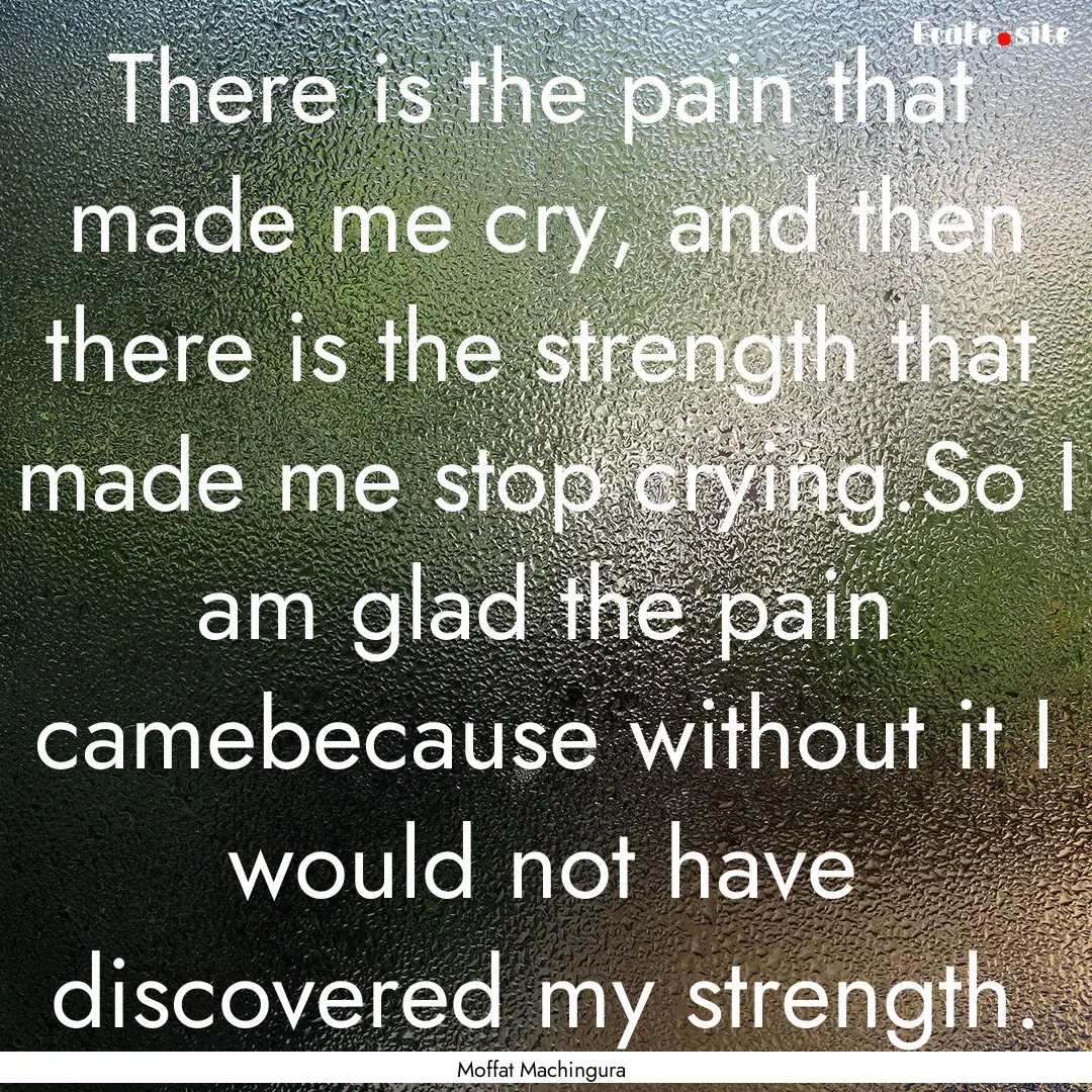 There is the pain that made me cry, and then.... : Quote by Moffat Machingura