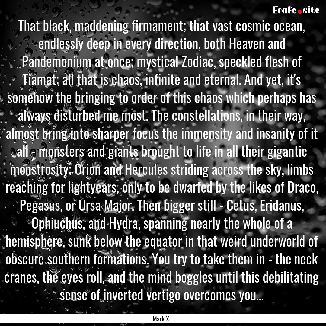 That black, maddening firmament; that vast.... : Quote by Mark X.