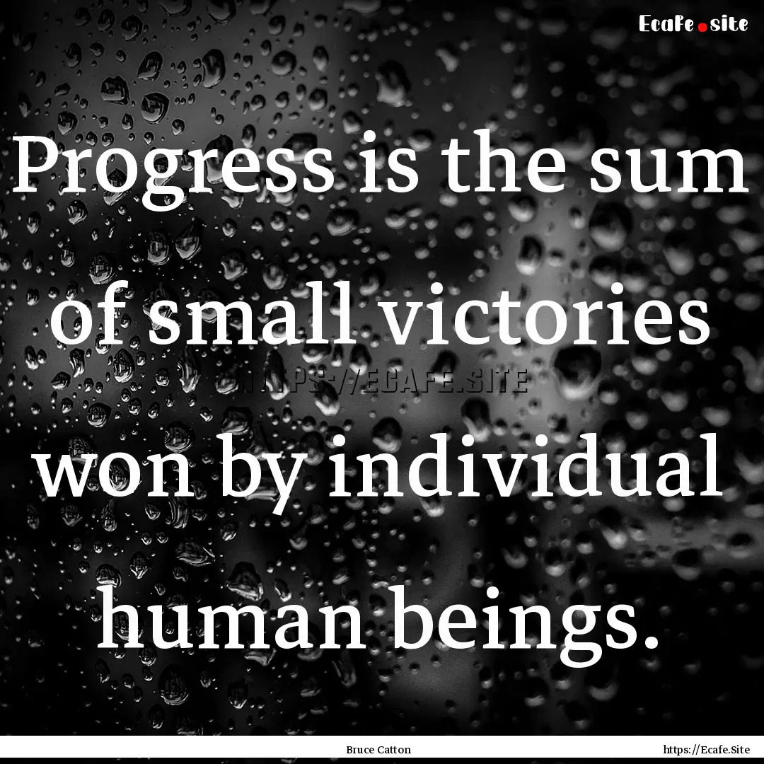 Progress is the sum of small victories won.... : Quote by Bruce Catton