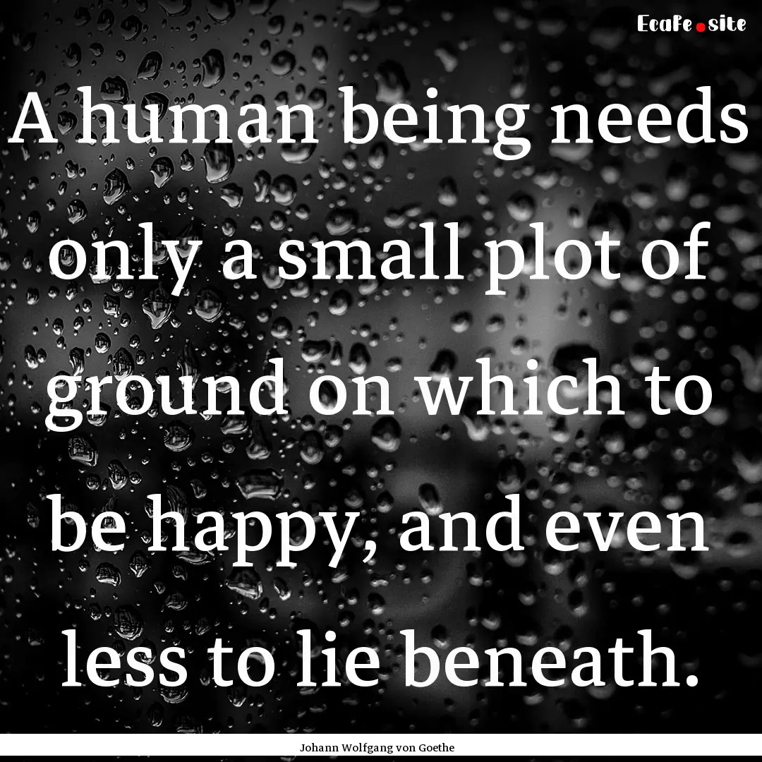 A human being needs only a small plot of.... : Quote by Johann Wolfgang von Goethe