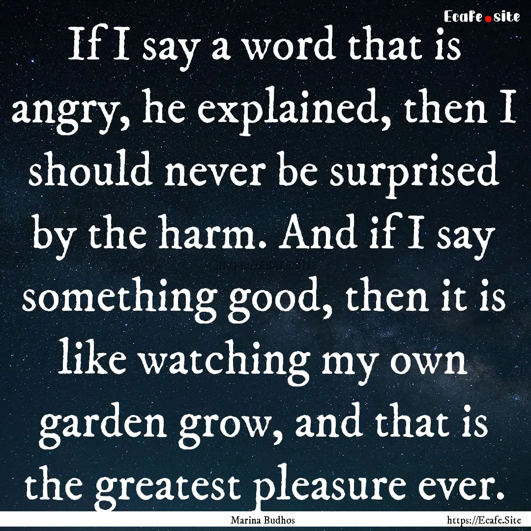 If I say a word that is angry, he explained,.... : Quote by Marina Budhos