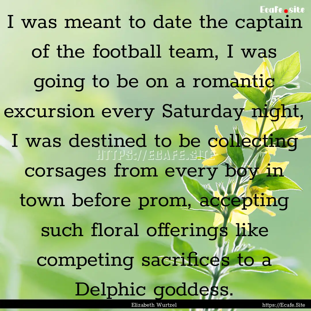 I was meant to date the captain of the football.... : Quote by Elizabeth Wurtzel