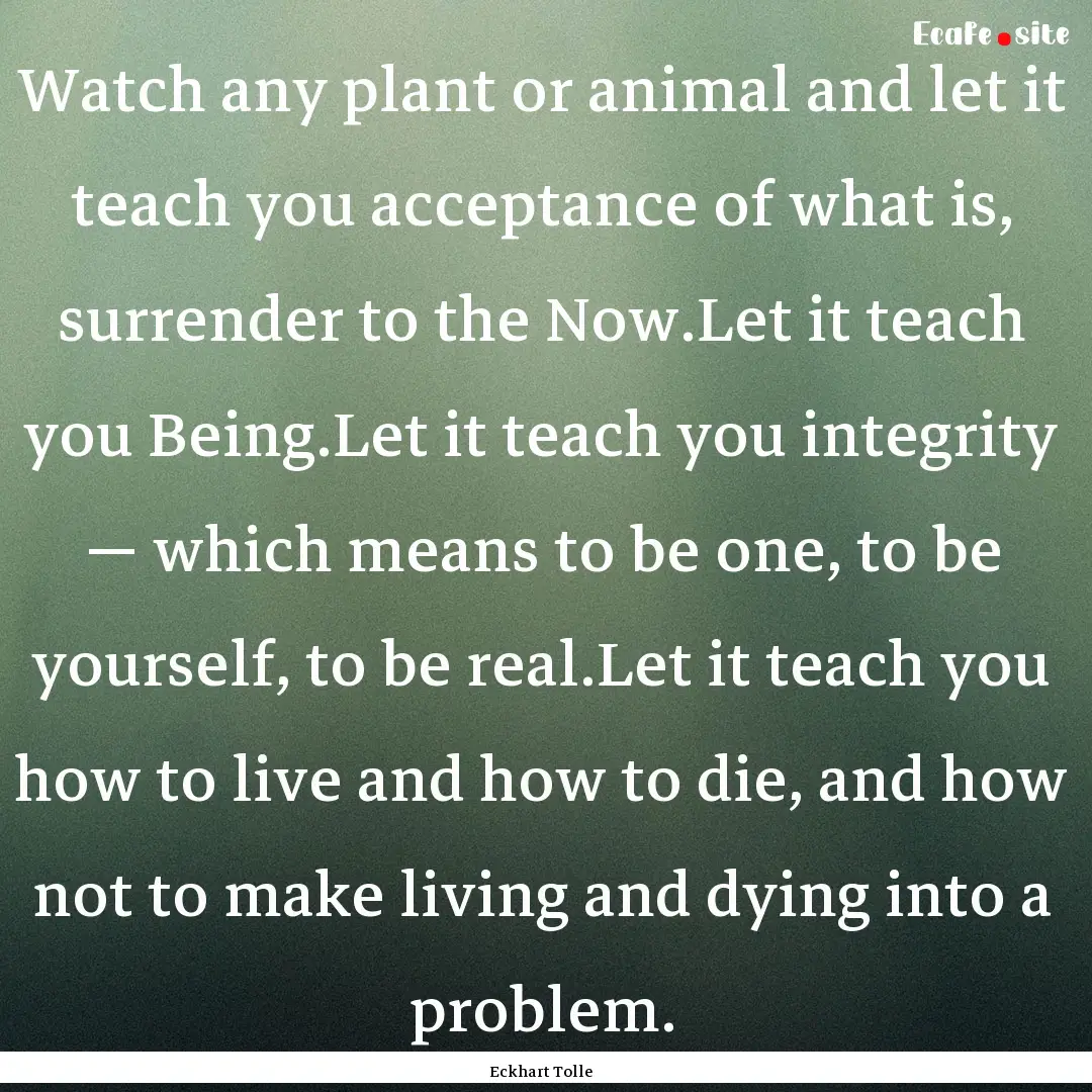 Watch any plant or animal and let it teach.... : Quote by Eckhart Tolle