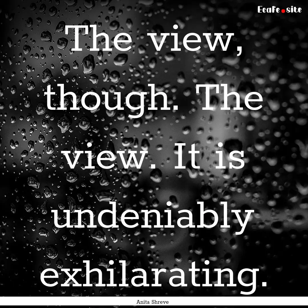 The view, though. The view. It is undeniably.... : Quote by Anita Shreve