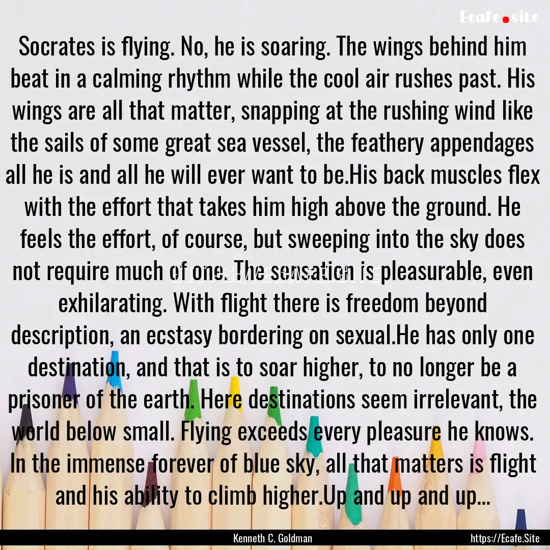 Socrates is flying. No, he is soaring. The.... : Quote by Kenneth C. Goldman