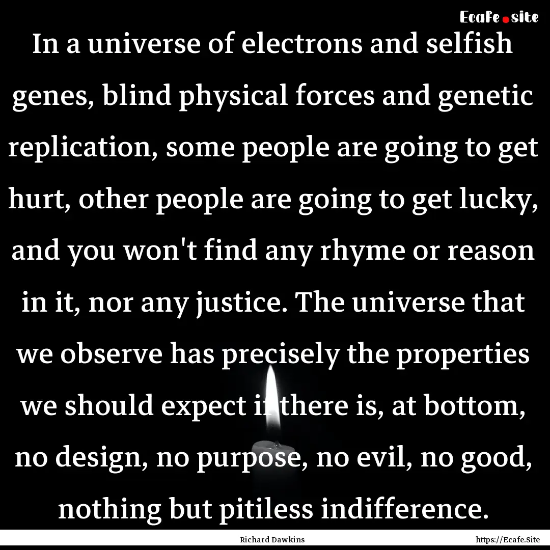 In a universe of electrons and selfish genes,.... : Quote by Richard Dawkins