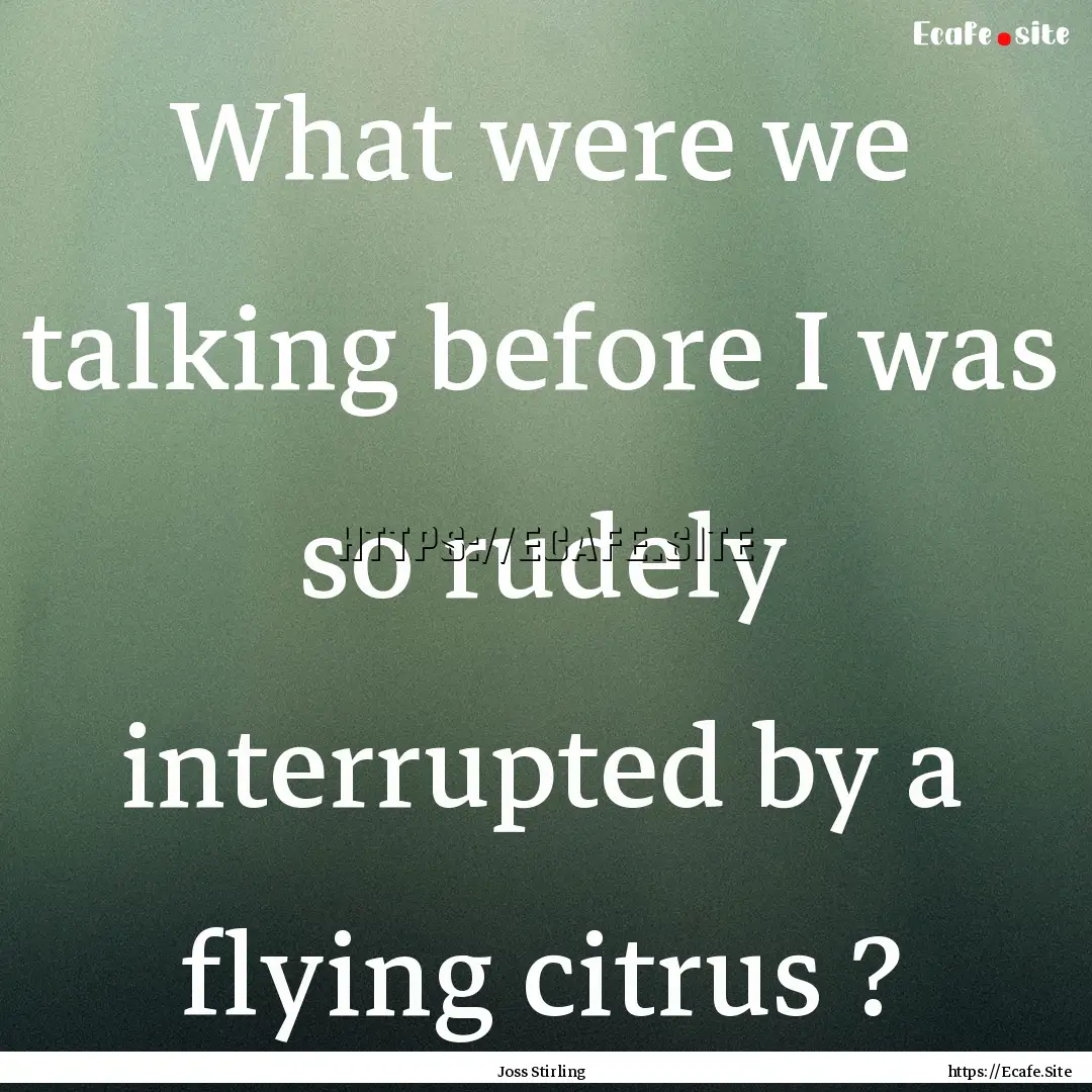 What were we talking before I was so rudely.... : Quote by Joss Stirling