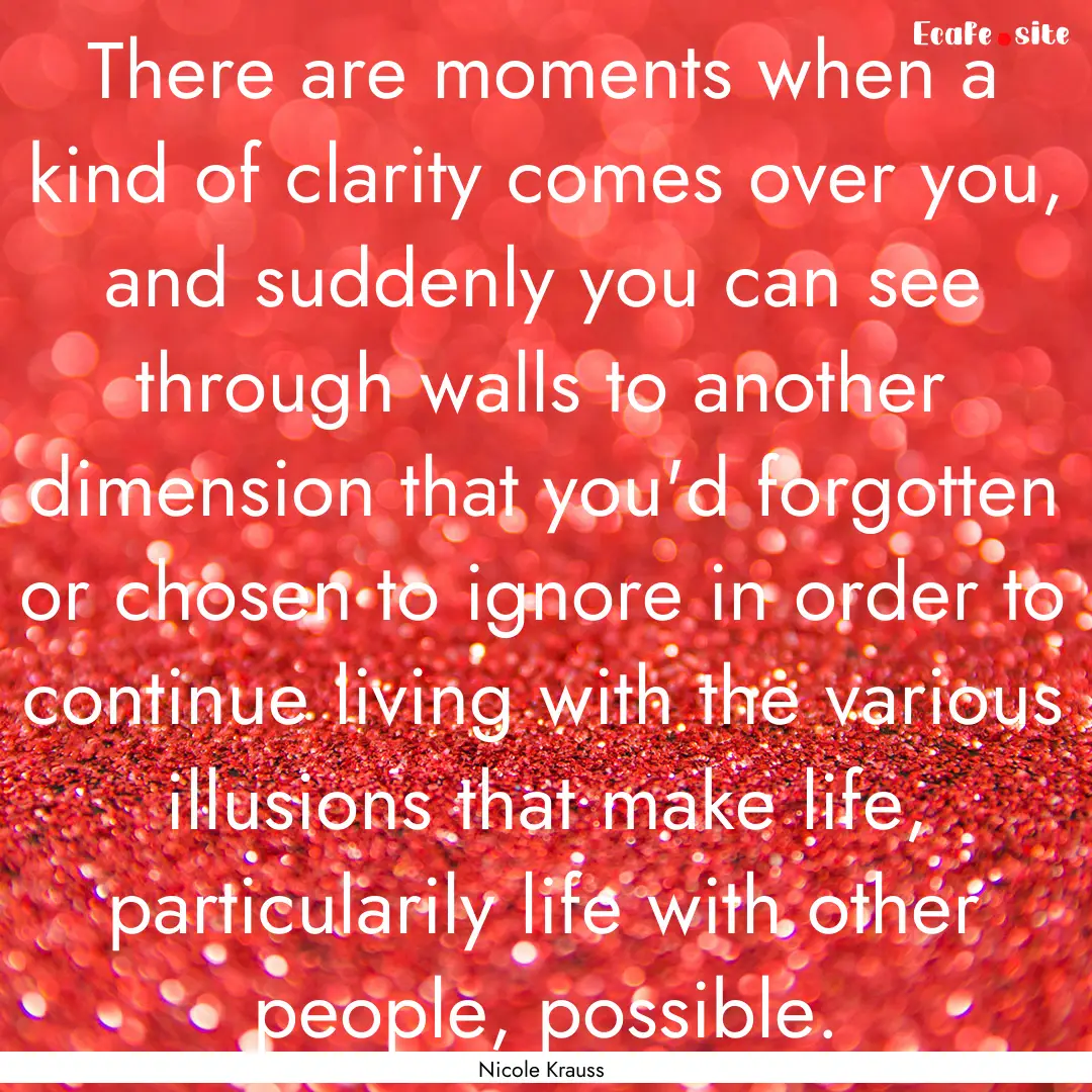 There are moments when a kind of clarity.... : Quote by Nicole Krauss