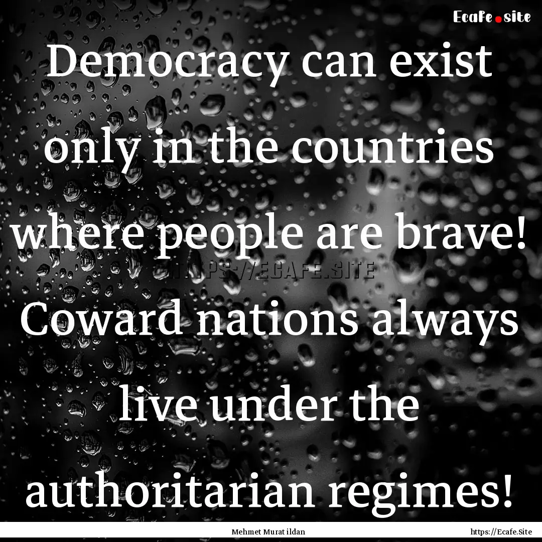 Democracy can exist only in the countries.... : Quote by Mehmet Murat ildan