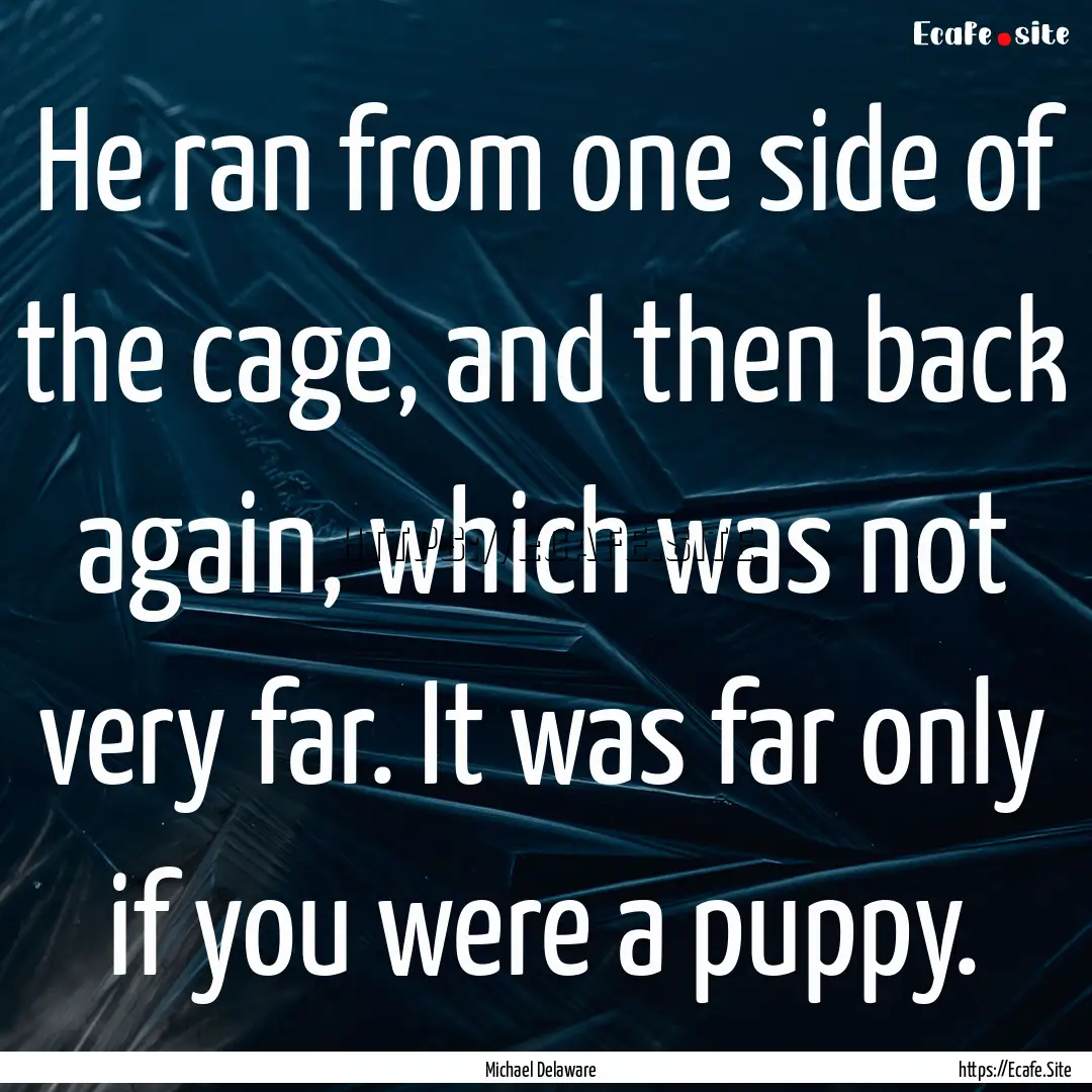 He ran from one side of the cage, and then.... : Quote by Michael Delaware