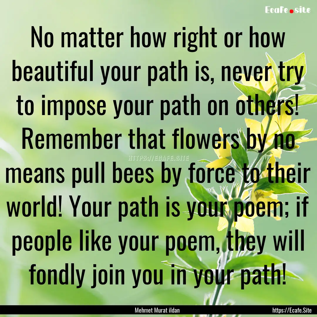 No matter how right or how beautiful your.... : Quote by Mehmet Murat ildan