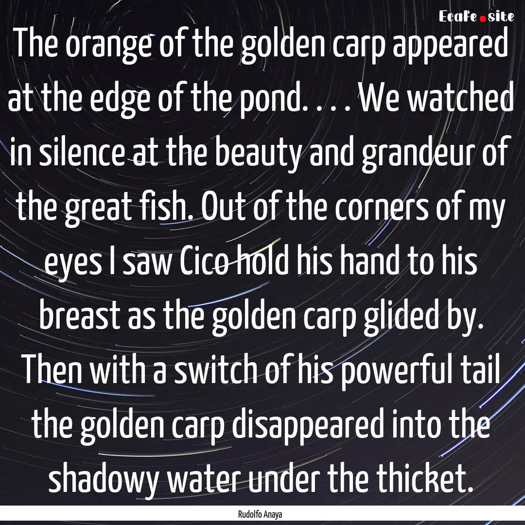 The orange of the golden carp appeared at.... : Quote by Rudolfo Anaya