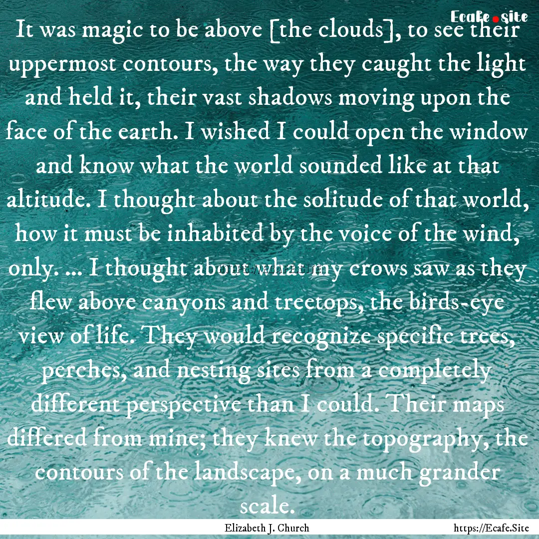 It was magic to be above [the clouds], to.... : Quote by Elizabeth J. Church