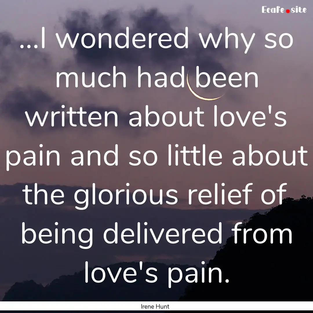 ...I wondered why so much had been written.... : Quote by Irene Hunt