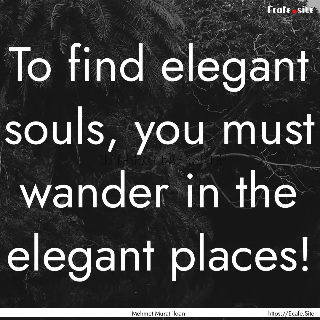 To find elegant souls, you must wander in.... : Quote by Mehmet Murat ildan