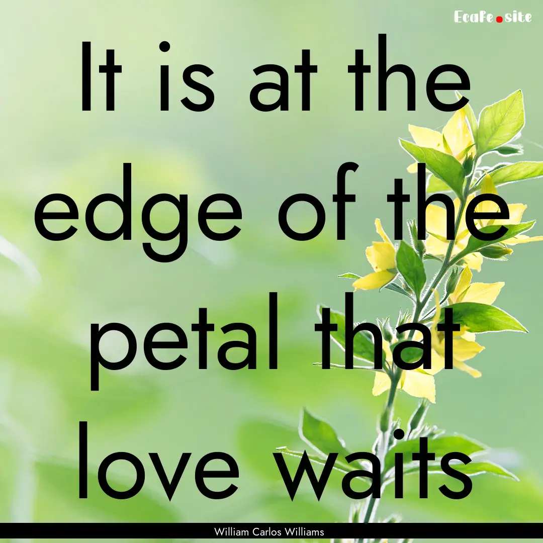 It is at the edge of the petal that love.... : Quote by William Carlos Williams