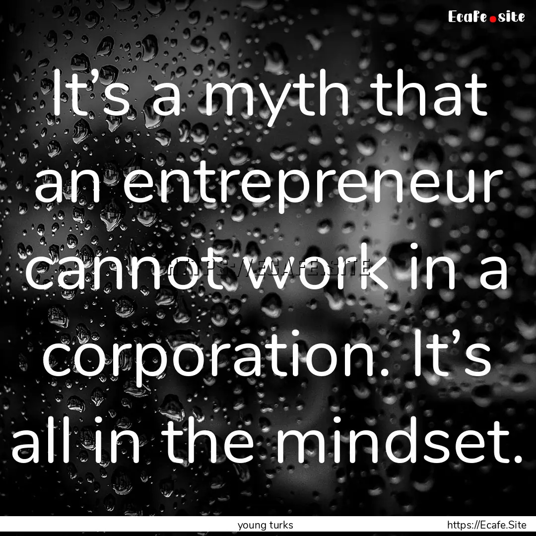 It’s a myth that an entrepreneur cannot.... : Quote by young turks