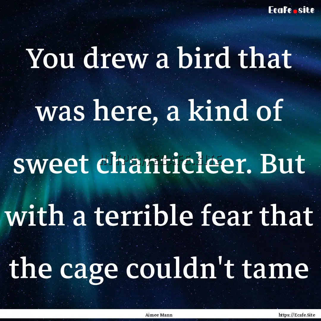 You drew a bird that was here, a kind of.... : Quote by Aimee Mann