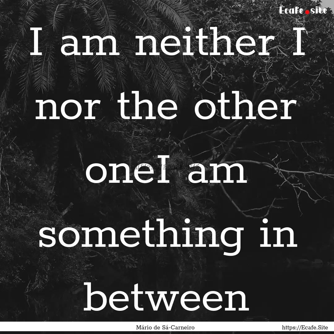 I am neither I nor the other oneI am something.... : Quote by Mário de Sá-Carneiro