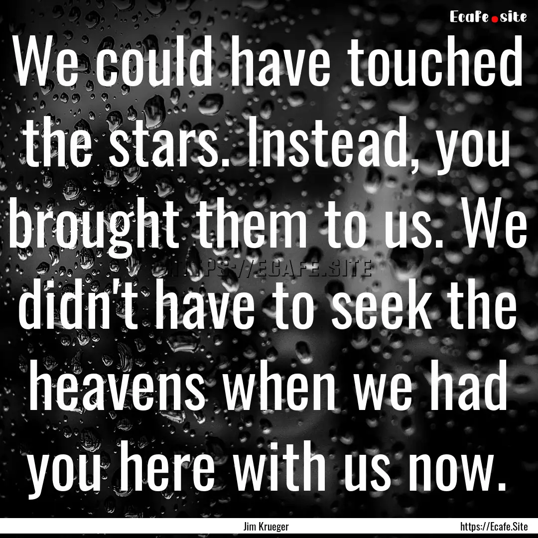 We could have touched the stars. Instead,.... : Quote by Jim Krueger