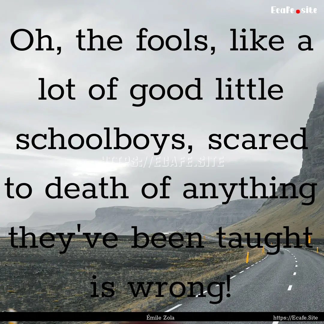 Oh, the fools, like a lot of good little.... : Quote by Émile Zola