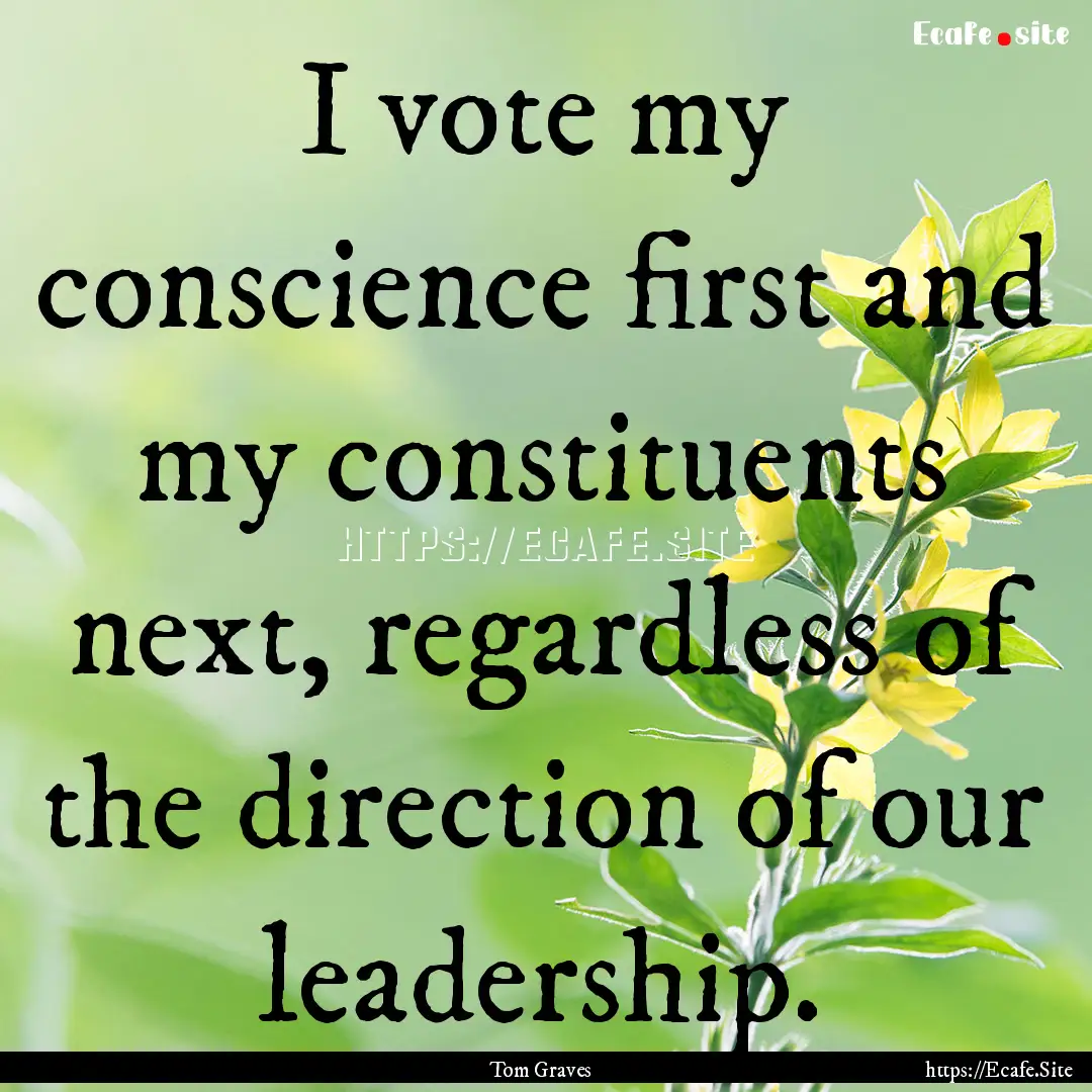 I vote my conscience first and my constituents.... : Quote by Tom Graves